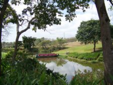 ProAm del Panamá CLARO en Marcha