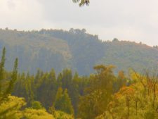 Fedegolf visita el Club Campestre La Sabana