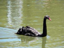 Triple empate al frente del Pacific Colombia Championship