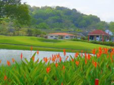 Australiano Aron Price líder en el Web.com Panamá Claro