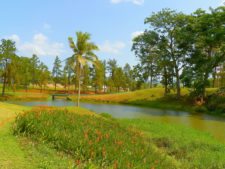 Australiano Aron Price líder en el Web.com Panamá Claro