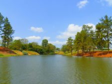 Australiano Aron Price líder en el Web.com Panamá Claro