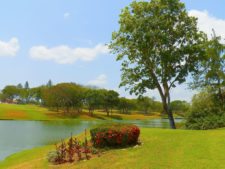 Australiano Aron Price líder en el Web.com Panamá Claro