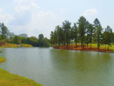 Premio y Honores para Ortiz en victoria del Web.com Panamá CLARO