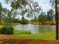 Price se separa por uno en el Web.com Panamá Claro