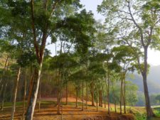 Continúa empate Torneo Amateur en Izcaragua