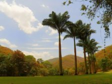 Continúa empate Torneo Amateur en Izcaragua