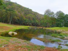 Triple empate Campeonato Amateur Capital