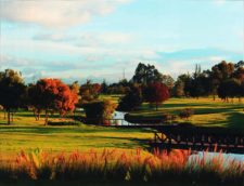 Encuentro con la Naturaleza en Pueblo Viejo (cortesía www.colarte.com)