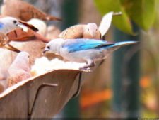 Fookes y Raga ganan Torneo-FVG del Valle Arriba