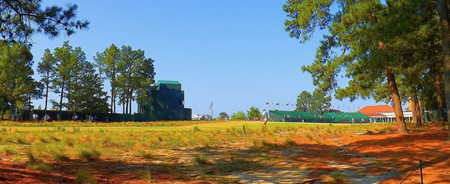 Regreso al Futuro del Golfers