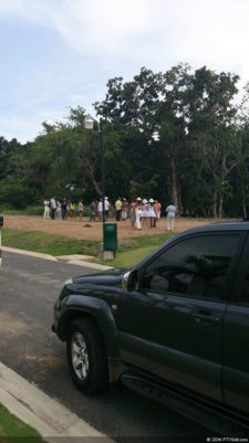 Reforestación Arboles Guayacanes y Jacarandas