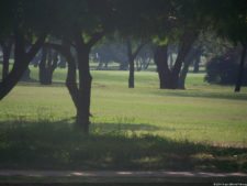 Sambil con 56 Granos de Oro, celebrando ahora el 56º Aniversario de Constructora Sambil