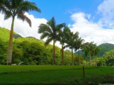 XI Abierto Sambil, jornada inicial clasificatoria