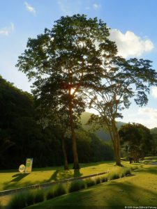 XI Abierto Sambil, jornada inicial clasificatoria