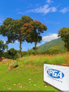 Velázquez de punta a punta