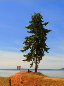 “The Open en América”