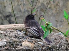 Un día espectacular recibió a los participantes del XII Abierto Sambil en Izcaragua