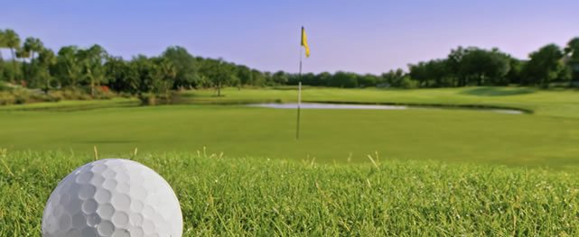 Efectos del clima sobre el desempeño de la grama (cortesía.realestatemiamiattorney.com)