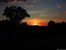 116º US Open selección domingo