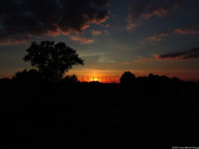 116º US Open selección domingo