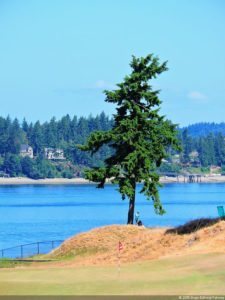 115º US Open, selección miércoles