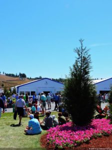 115º US Open, selección miércoles