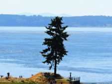 115º US Open, selección miércoles