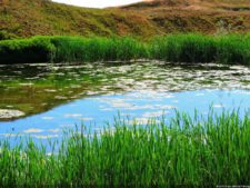 115º US Open, selección miércoles