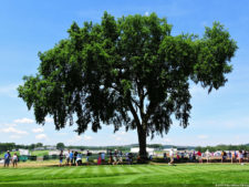 116º US Open selección sábado