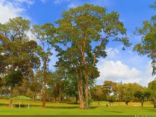 Cierre XXXI Abierto de Venezuela