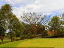 Cierre XXXI Abierto de Venezuela