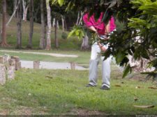 Cierre XXXI Abierto de Venezuela