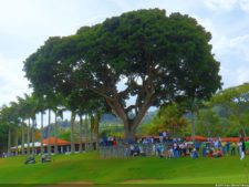 Cierre XXXI Abierto de Venezuela