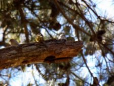 50º Torneo Abierto Jockey Club de Rosario (día 1)
