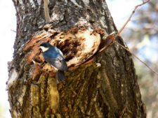 50º Torneo Abierto Jockey Club de Rosario (día 1)