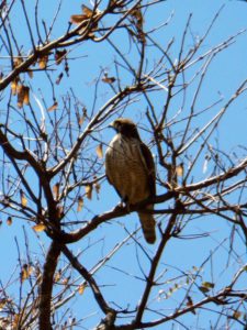 50º Torneo Abierto Jockey Club de Rosario (día 4)