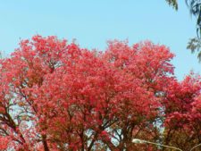 50º Torneo Abierto Jockey Club de Rosario (día 4)