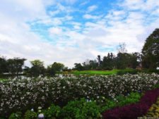 68º Avianca Colombia Open, 3er día