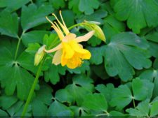 68º Avianca Colombia Open, 3er día