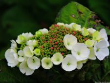 68º Avianca Colombia Open, 3er día