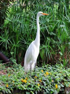 68º Avianca Colombia Open, 2do día
