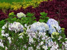 68º Avianca Colombia Open, 2do día