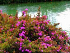 68º Avianca Colombia Open, 3er día