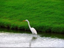 68º Avianca Colombia Open, 3er día