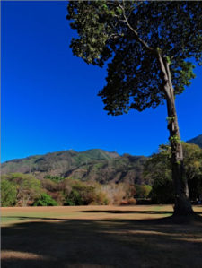 A la sombra del Ávila