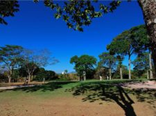 A la sombra del Ávila