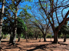 A la sombra del Ávila