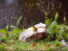 Amanecer en Izcaragua