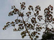 Amanecer en Izcaragua